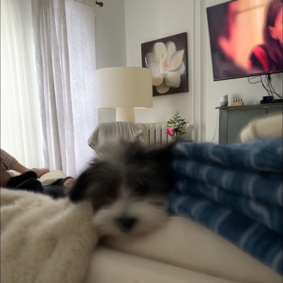 Meet your Posher, Vicki - Picture 1 of 1